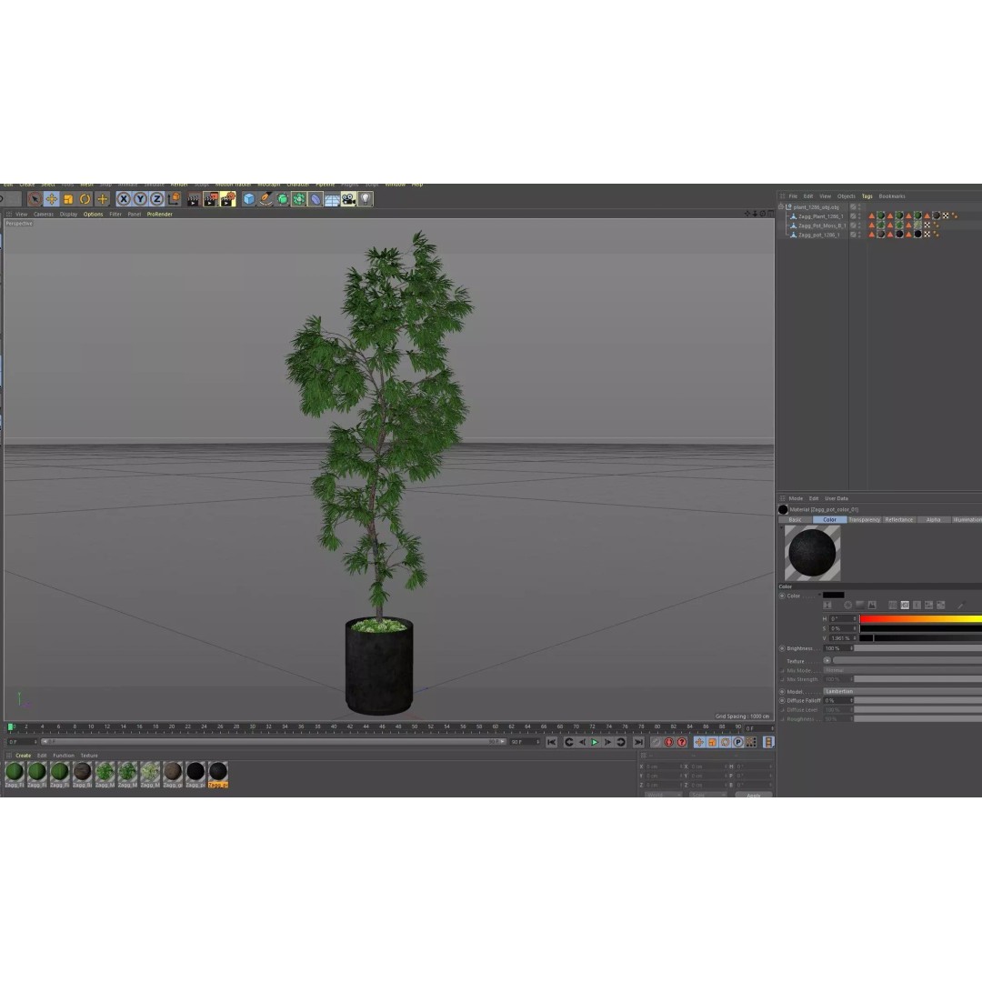 Plant 1286 3D Model – High-Quality Pot Plant for Archviz and Landscaping
