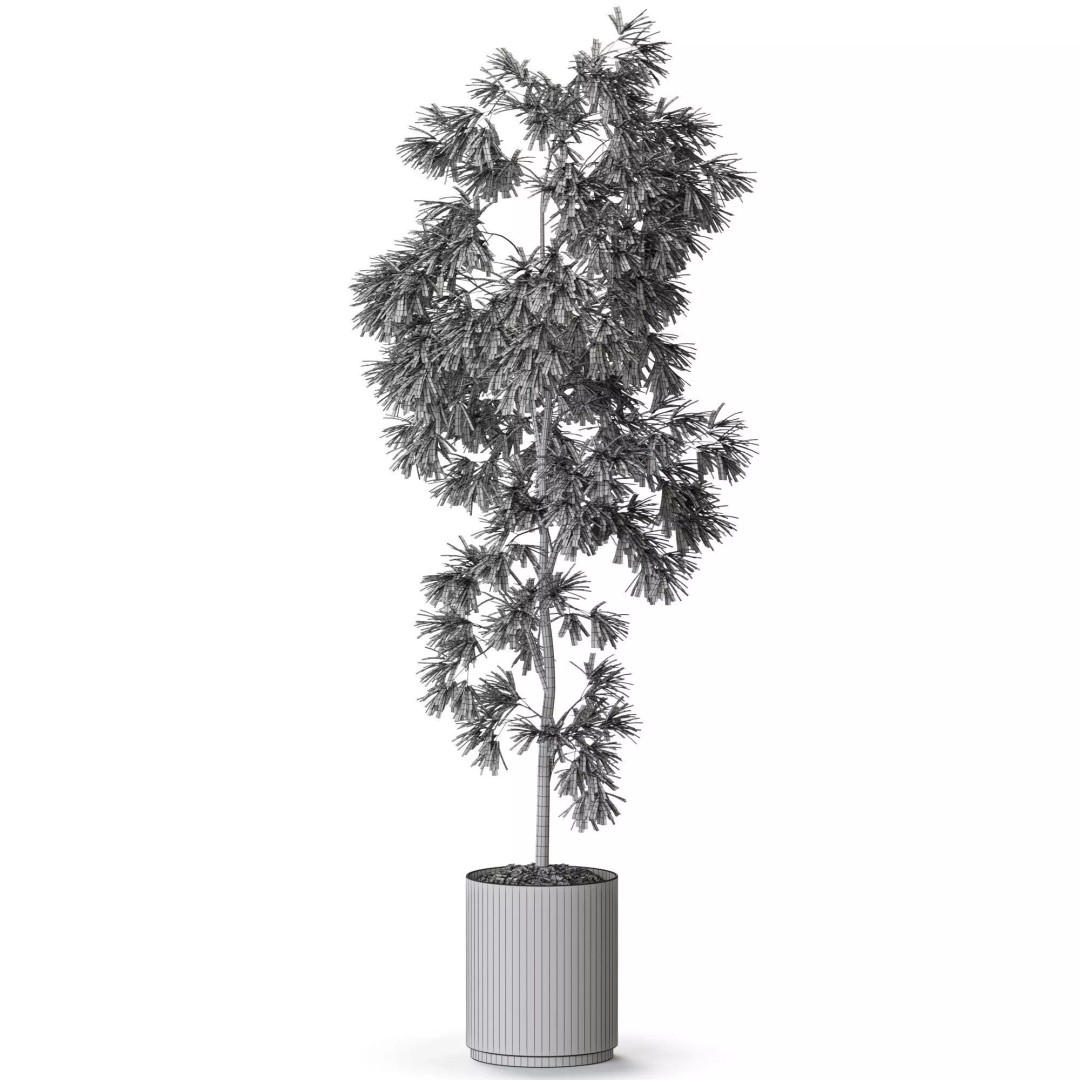 Plant 1286 3D Model – High-Quality Pot Plant for Archviz and Landscaping - View 6