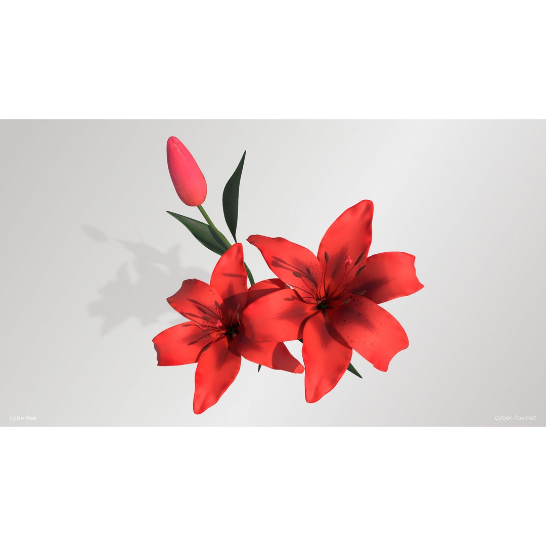 Lily Flower 3D Model – Low Poly PBR Plant Asset, FBX/OBJ - View 12