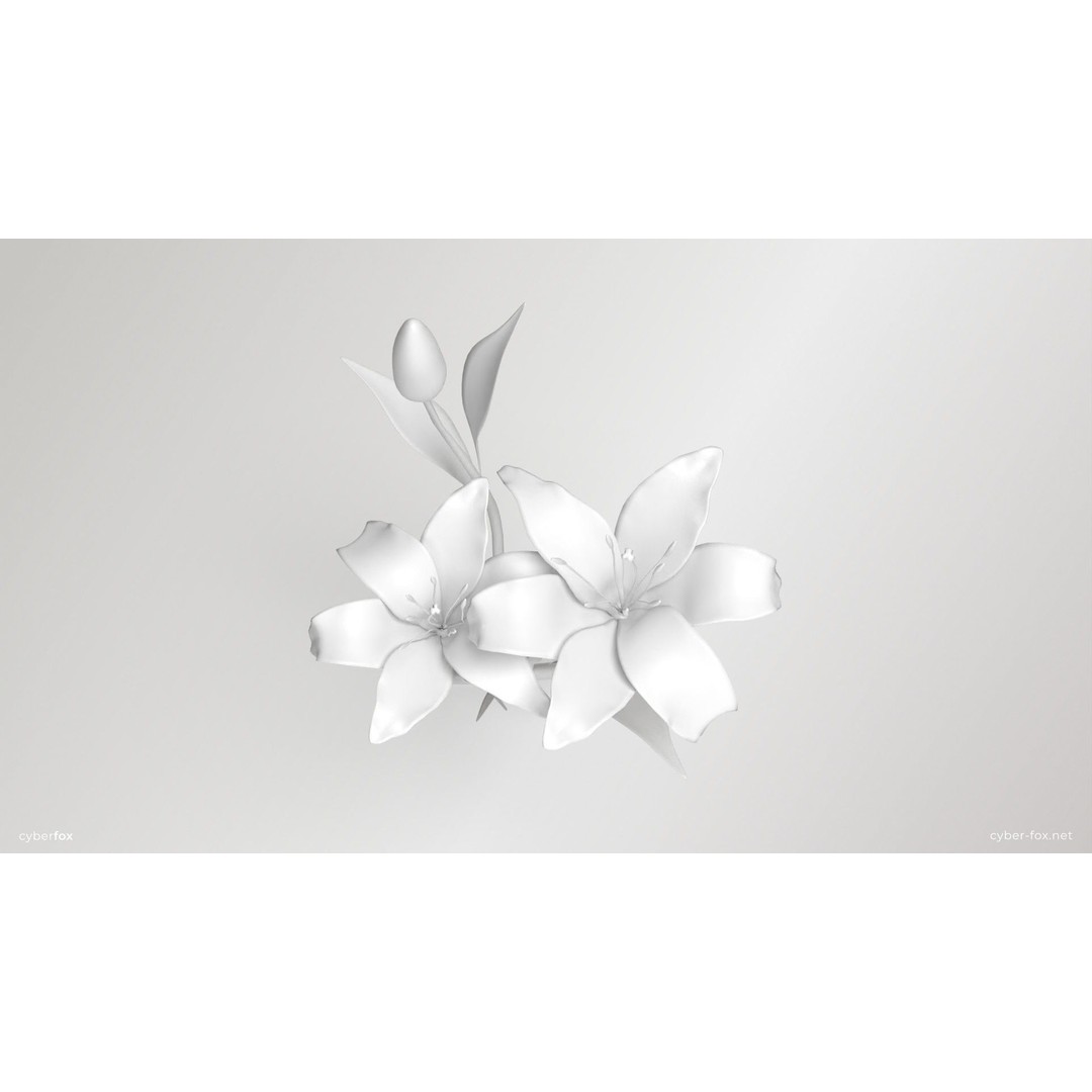 Lily Flower 3D Model – Low Poly PBR Plant Asset, FBX/OBJ - View 17