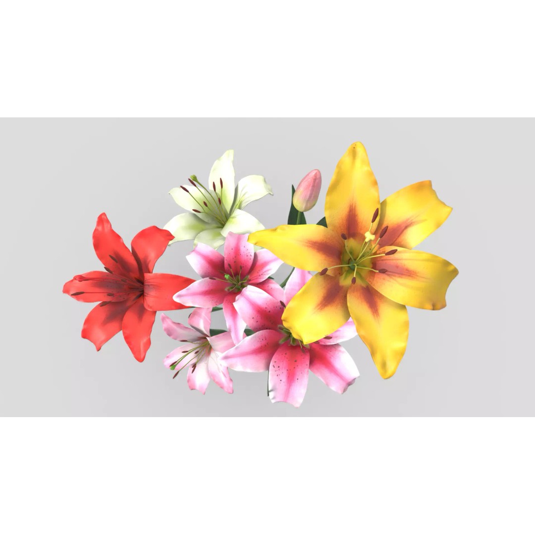Lily Flower 3D Model – Low Poly PBR Plant Asset, FBX/OBJ - View 2