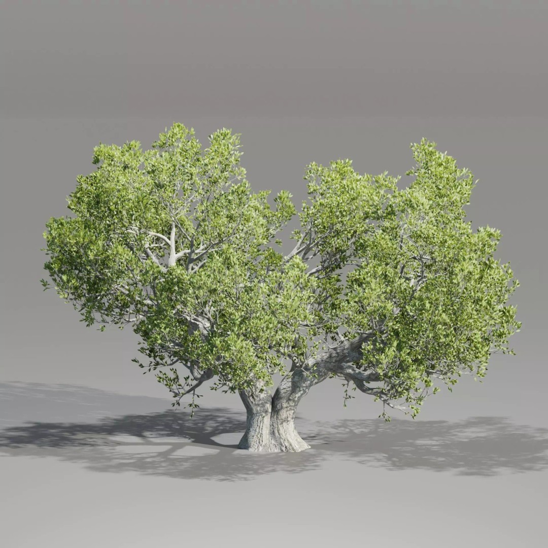 Natural Tree 3D Model – High Poly PBR Asset for Blender, FBX, OBJ - View 2