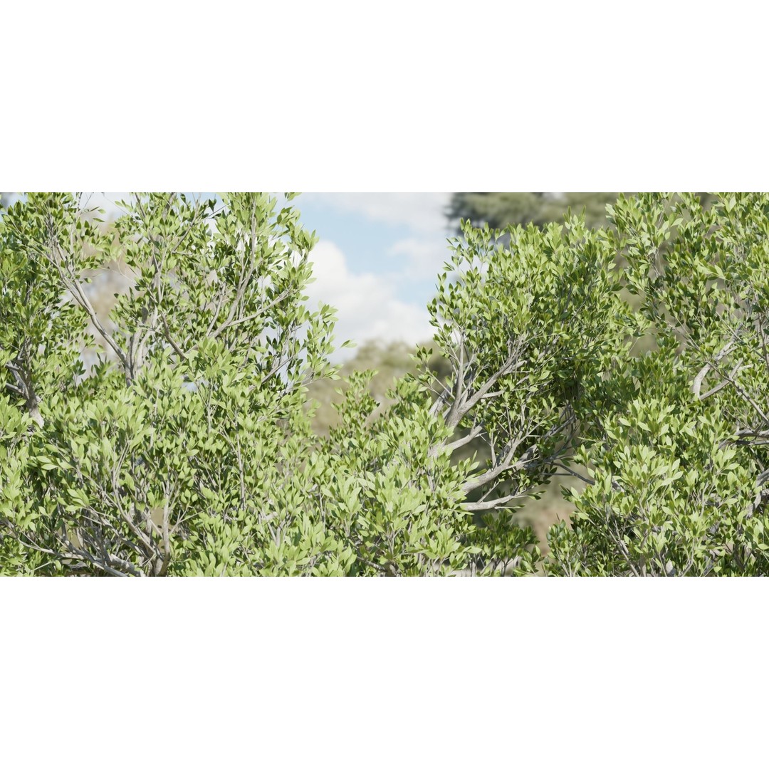 Natural Tree 3D Model – High Poly PBR Asset for Blender, FBX, OBJ - View 3