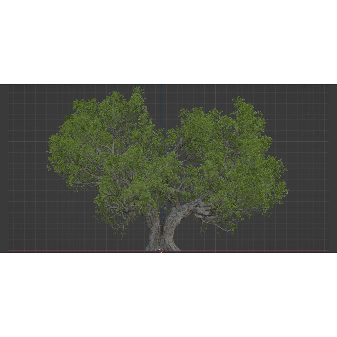 Natural Tree 3D Model – High Poly PBR Asset for Blender, FBX, OBJ - View 5