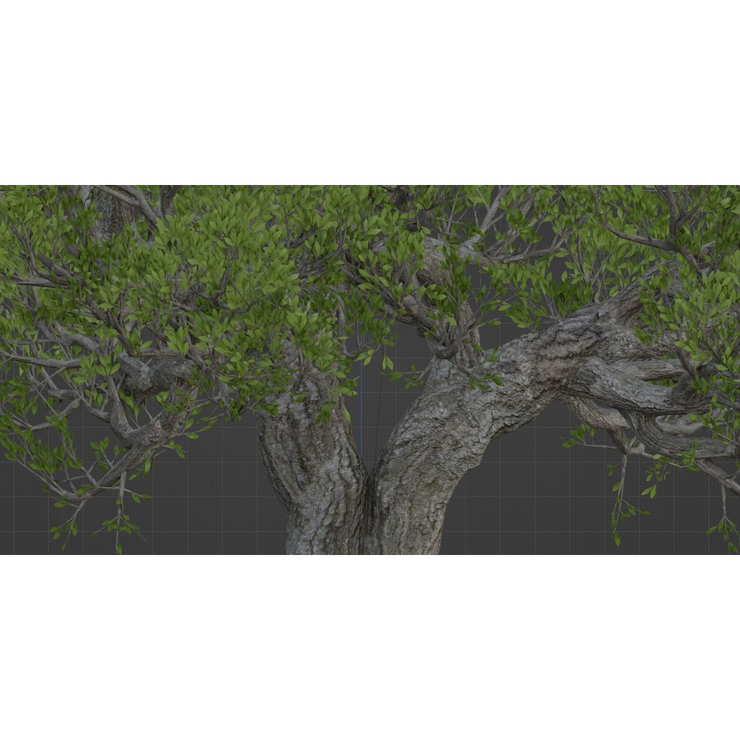 Natural Tree 3D Model – High Poly PBR Asset for Blender, FBX, OBJ - View 6