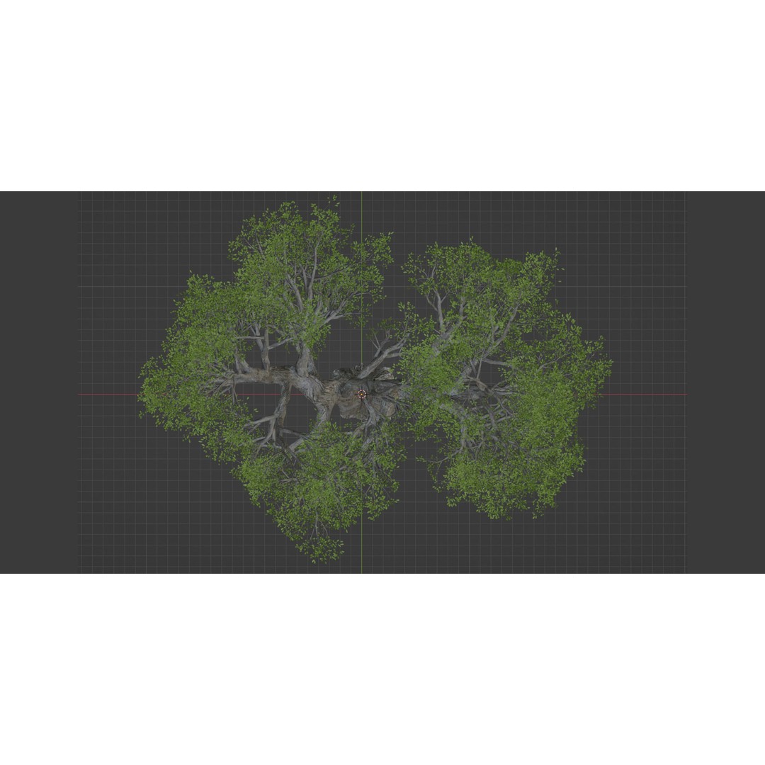 Natural Tree 3D Model – High Poly PBR Asset for Blender, FBX, OBJ - View 7