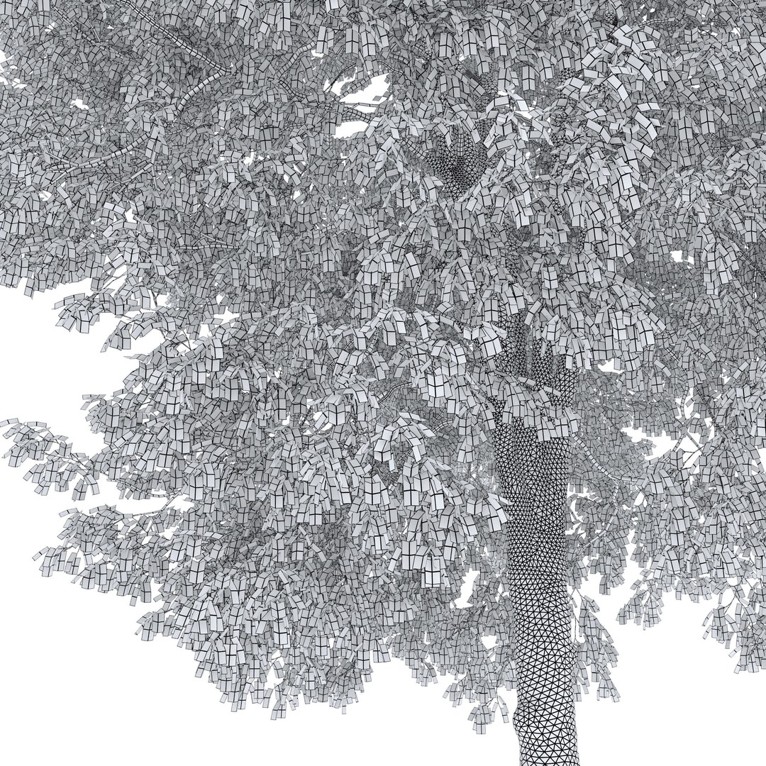 Hornbeam Tree 3D Model – Autumn Deciduous Plant, FBX, PBR Textures - View 7