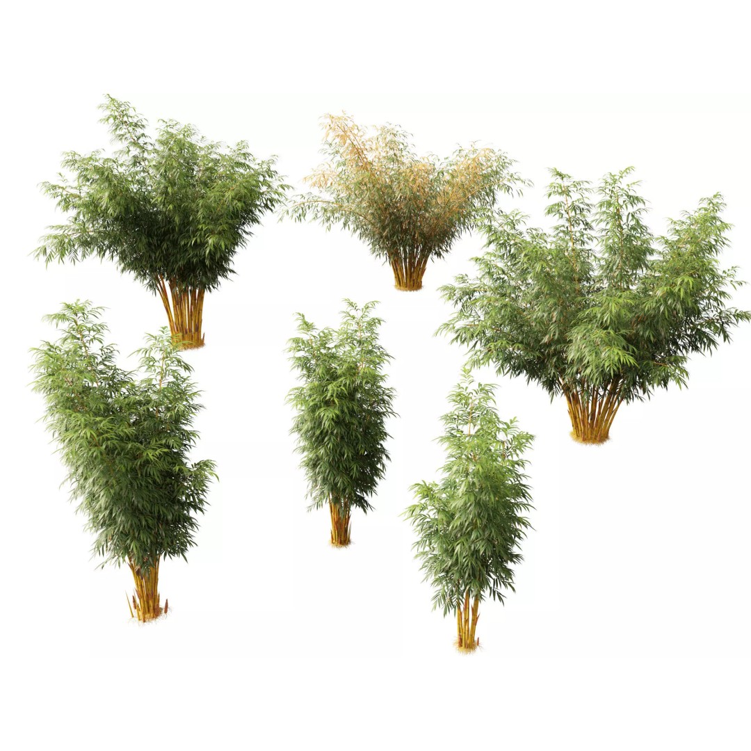 Bamboo Grasses Pack 3D Model – High Poly Plants for Archviz, FBX