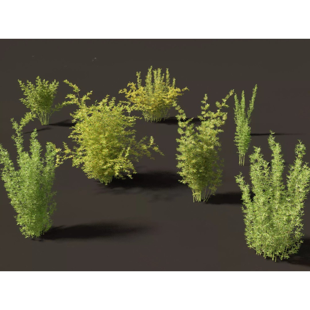 Bamboo Grasses Pack 3D Model – High Poly Plants for Archviz, FBX - View 10