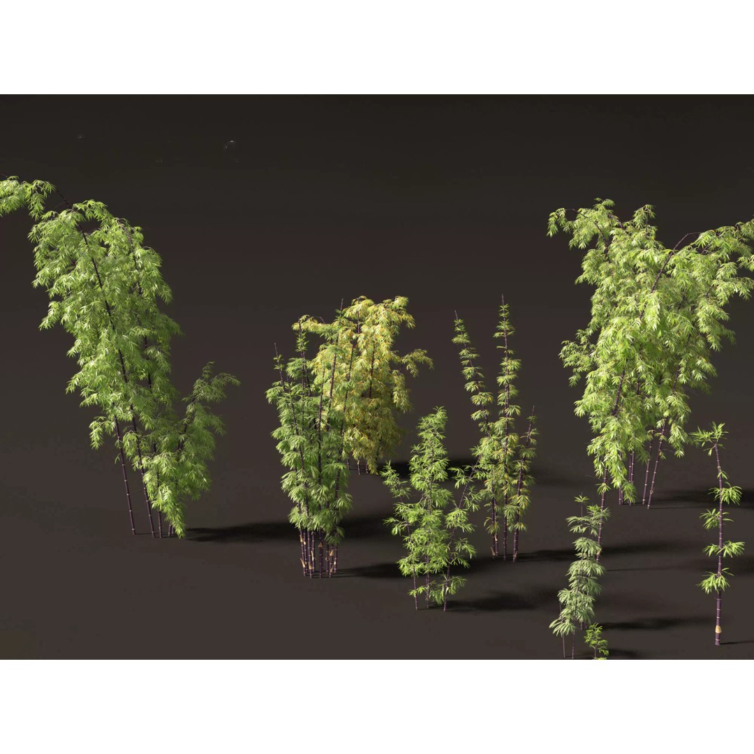 Bamboo Grasses Pack 3D Model – High Poly Plants for Archviz, FBX - View 12