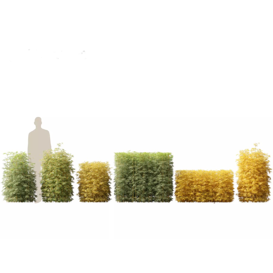 Bamboo Grasses Pack 3D Model – High Poly Plants for Archviz, FBX - View 13