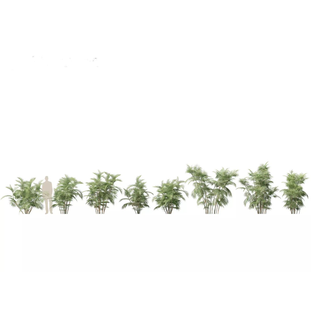 Bamboo Grasses Pack 3D Model – High Poly Plants for Archviz, FBX - View 18
