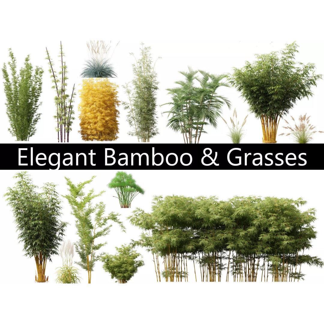 Bamboo Grasses Pack 3D Model – High Poly Plants for Archviz, FBX - View 2