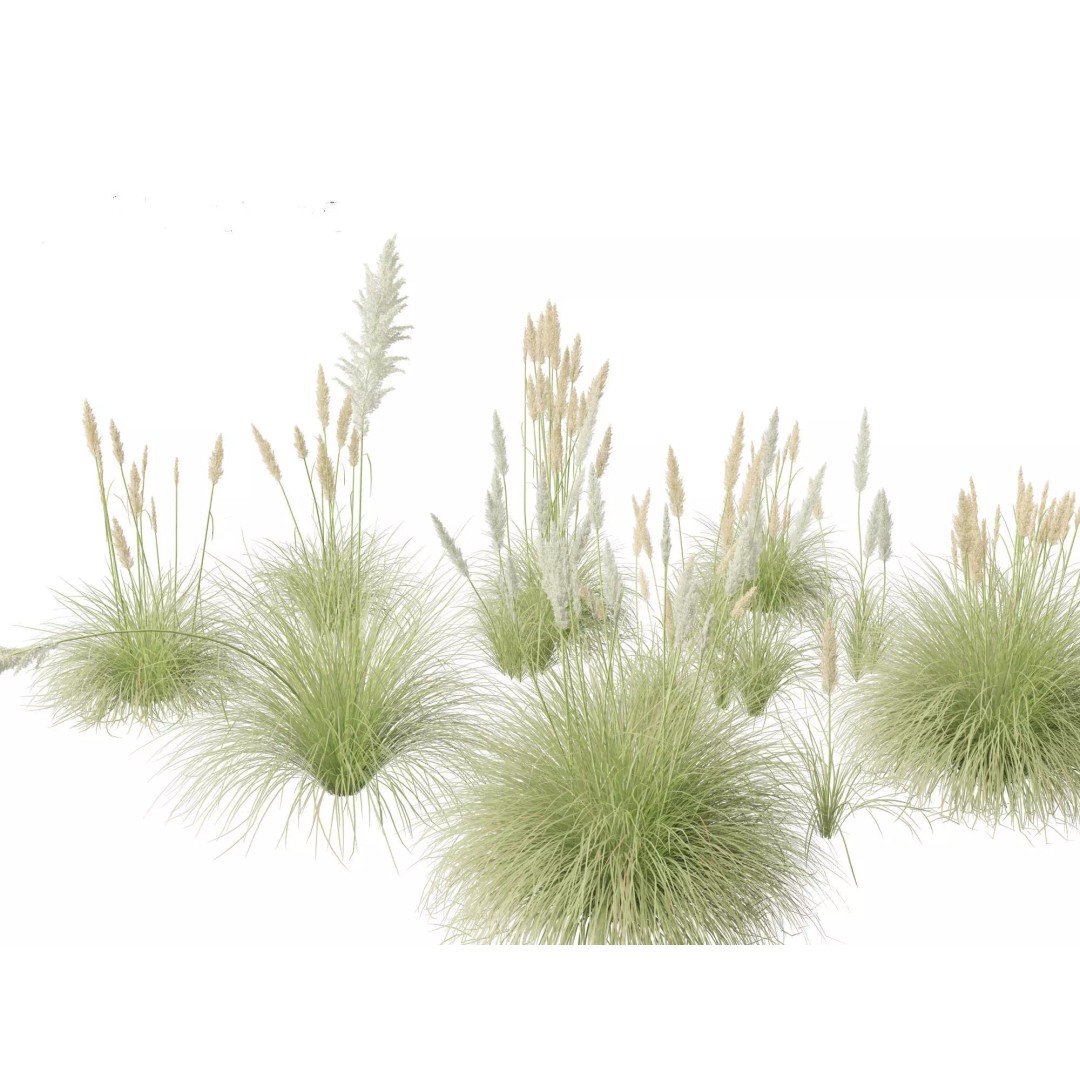 Bamboo Grasses Pack 3D Model – High Poly Plants for Archviz, FBX - View 20