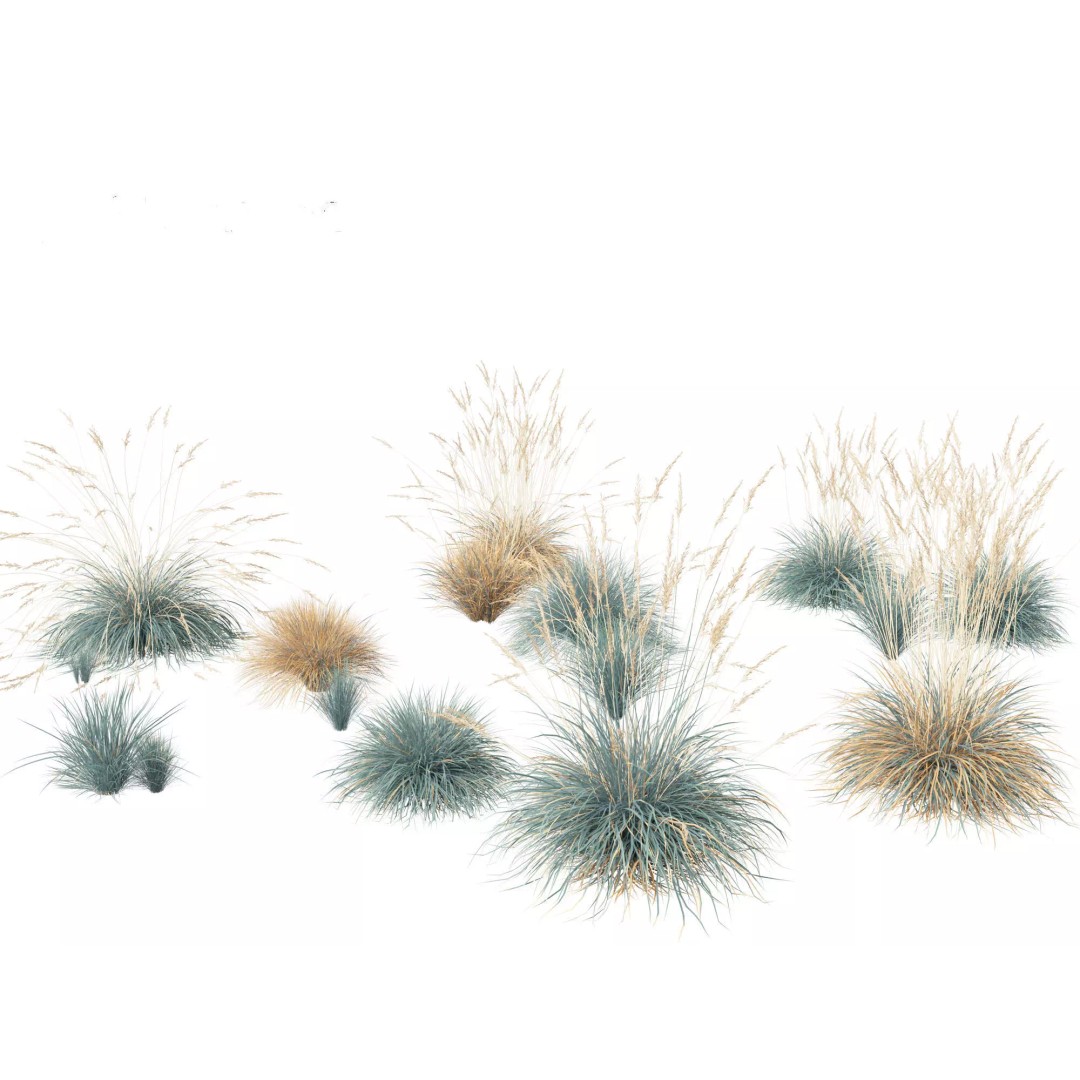 Bamboo Grasses Pack 3D Model – High Poly Plants for Archviz, FBX - View 22