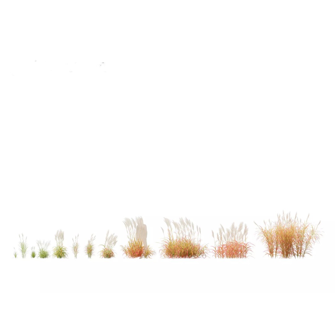 Bamboo Grasses Pack 3D Model – High Poly Plants for Archviz, FBX - View 23