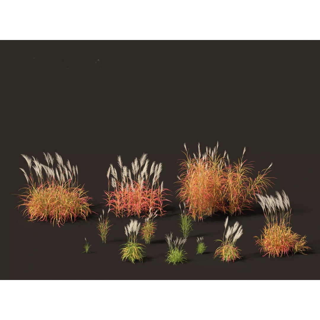 Bamboo Grasses Pack 3D Model – High Poly Plants for Archviz, FBX - View 24
