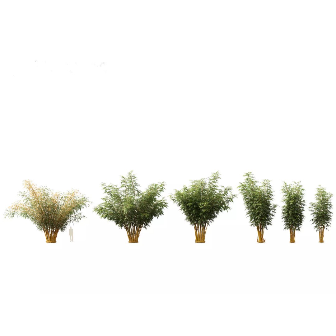 Bamboo Grasses Pack 3D Model – High Poly Plants for Archviz, FBX - View 25