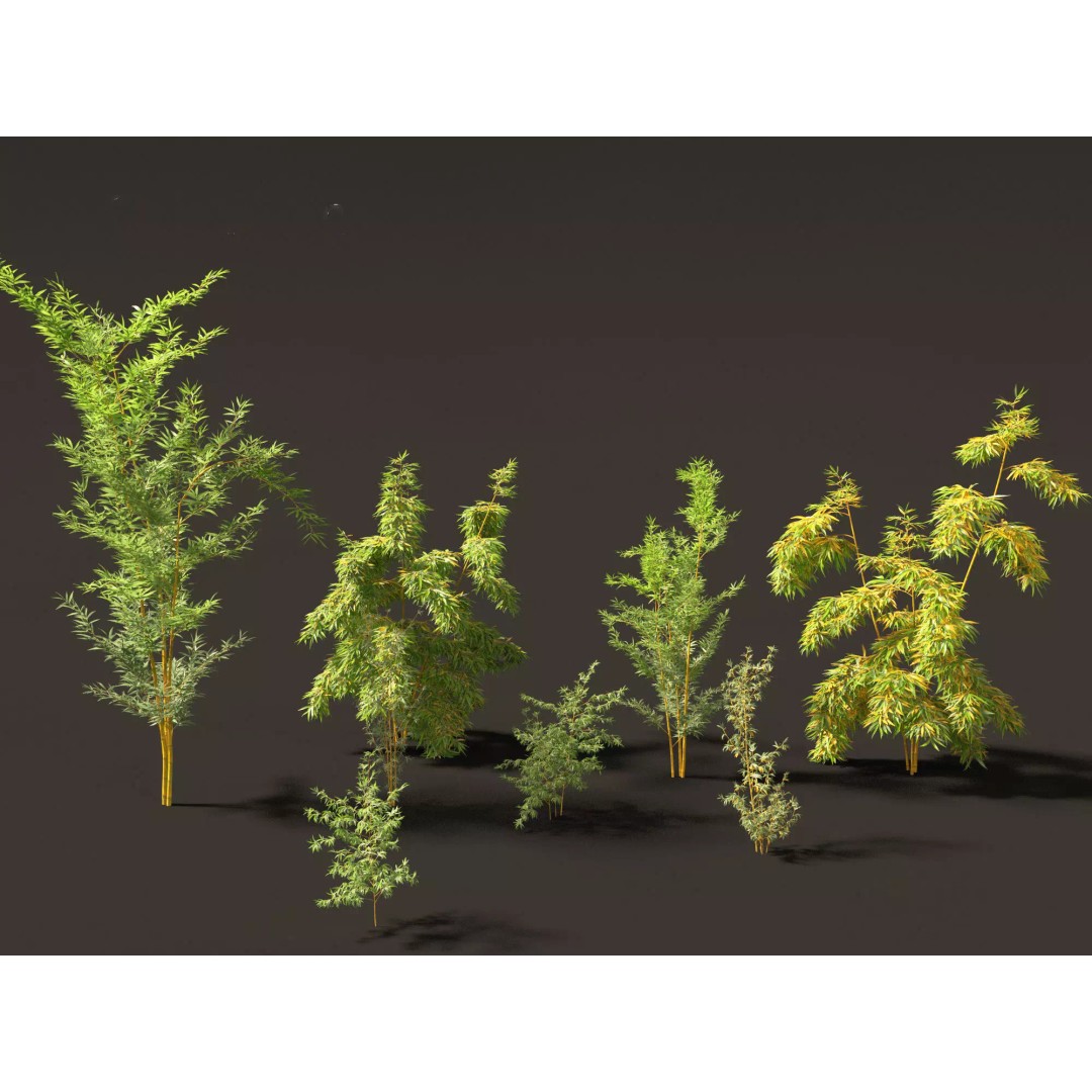 Bamboo Grasses Pack 3D Model – High Poly Plants for Archviz, FBX - View 4
