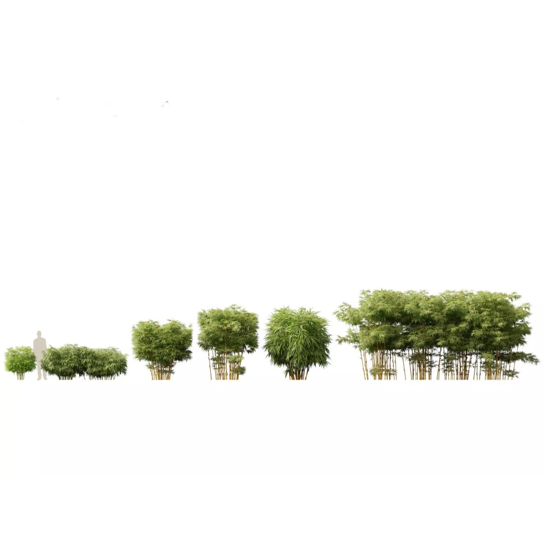 Bamboo Grasses Pack 3D Model – High Poly Plants for Archviz, FBX - View 5