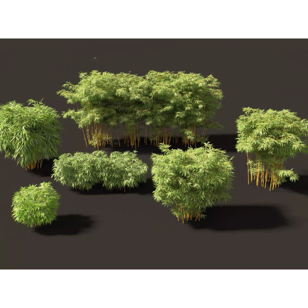 Bamboo Grasses Pack 3D Model – High Poly Plants for Archviz, FBX - View 6