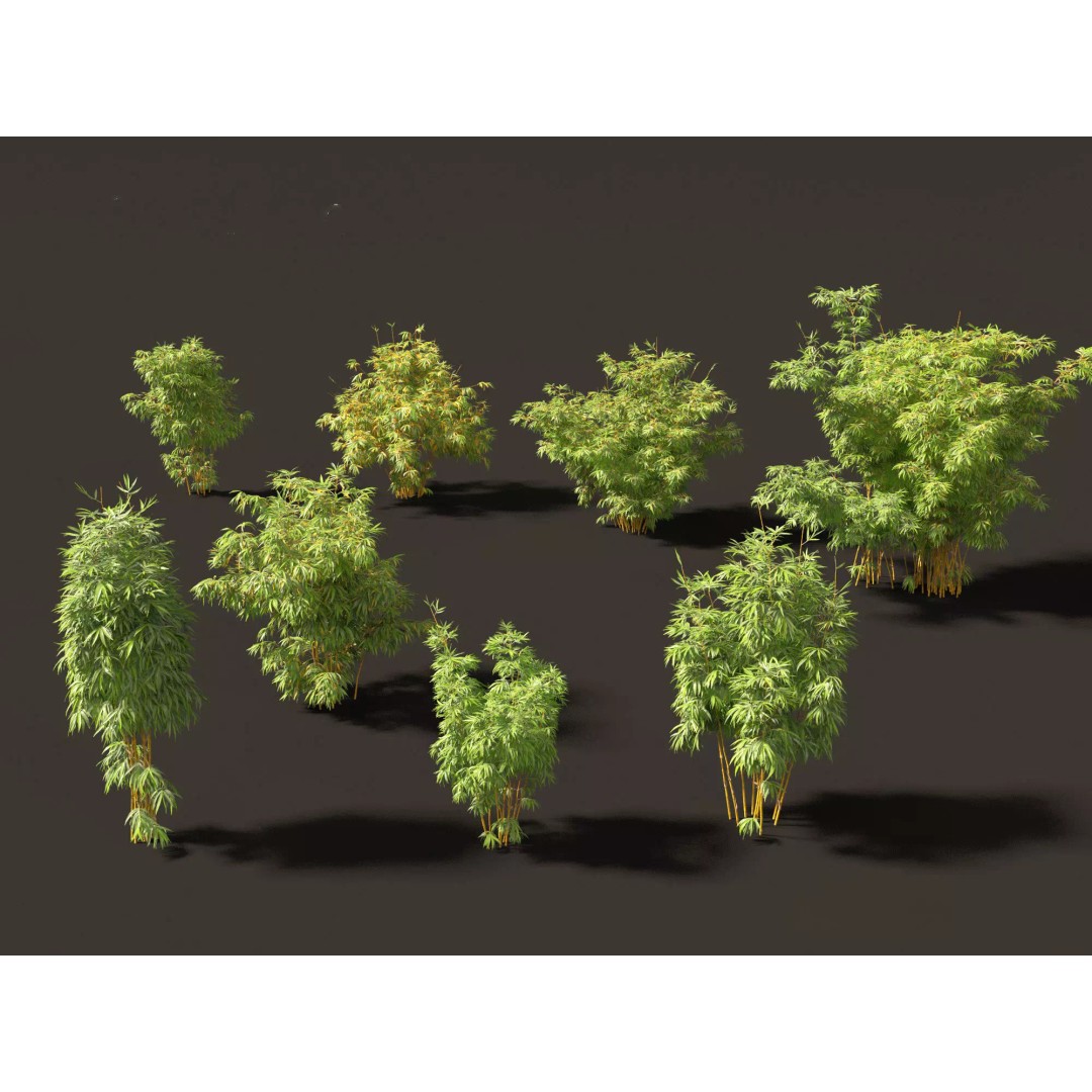Bamboo Grasses Pack 3D Model – High Poly Plants for Archviz, FBX - View 8