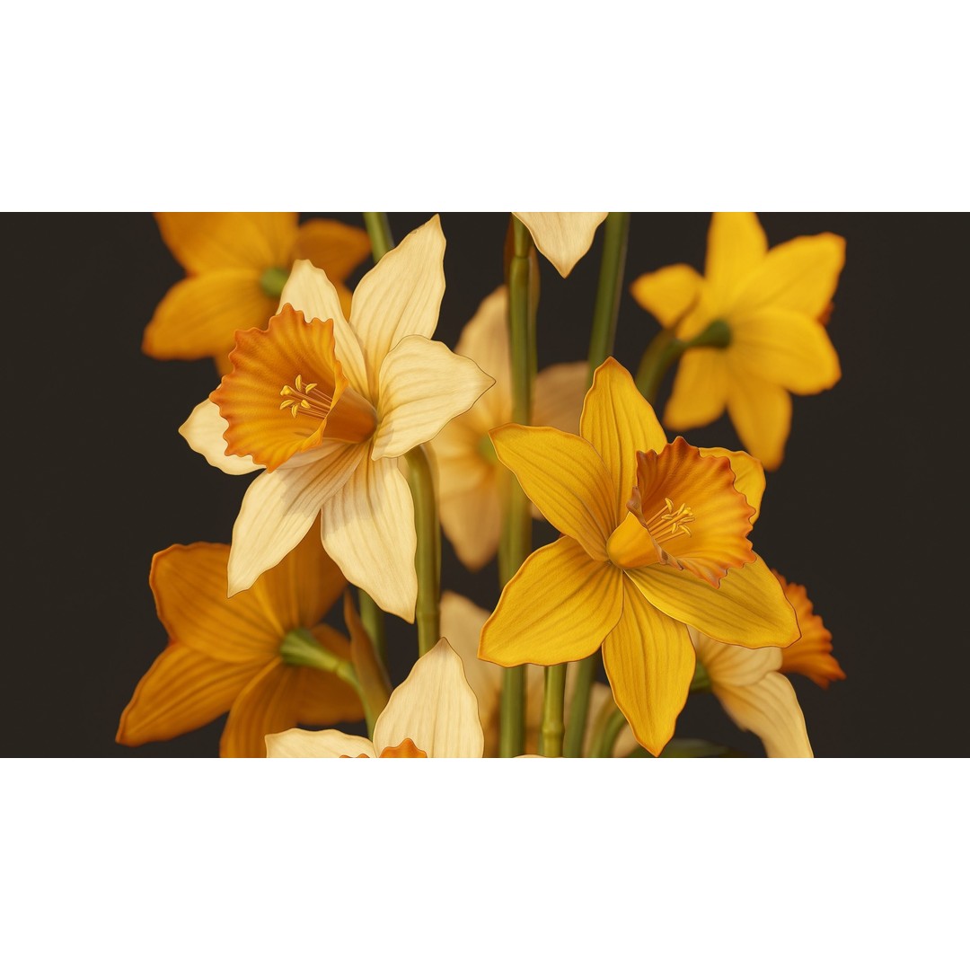 Daffodils 3D Model – Low Poly PBR Flower Bouquet, FBX, Game Ready - View 5