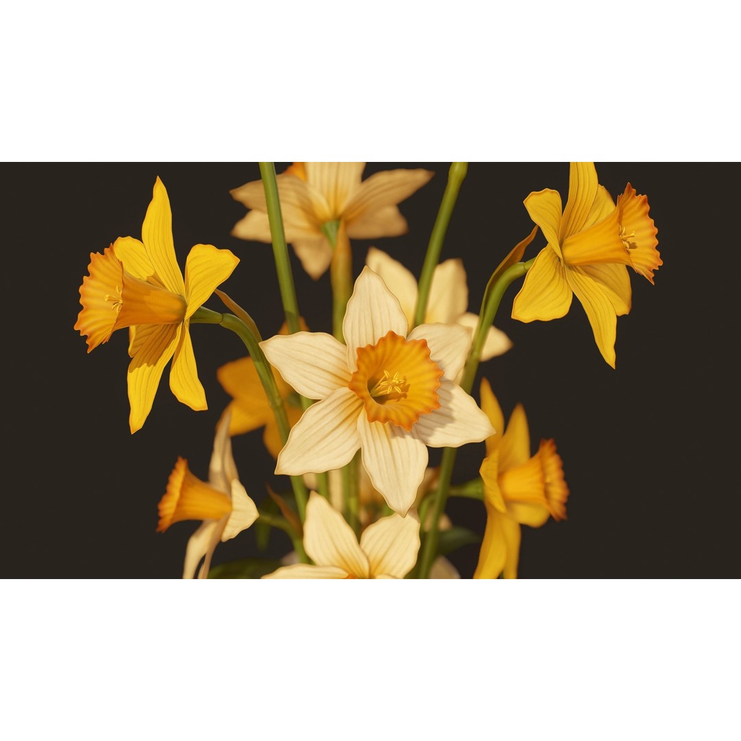 Daffodils 3D Model – Low Poly PBR Flower Bouquet, FBX, Game Ready - View 8