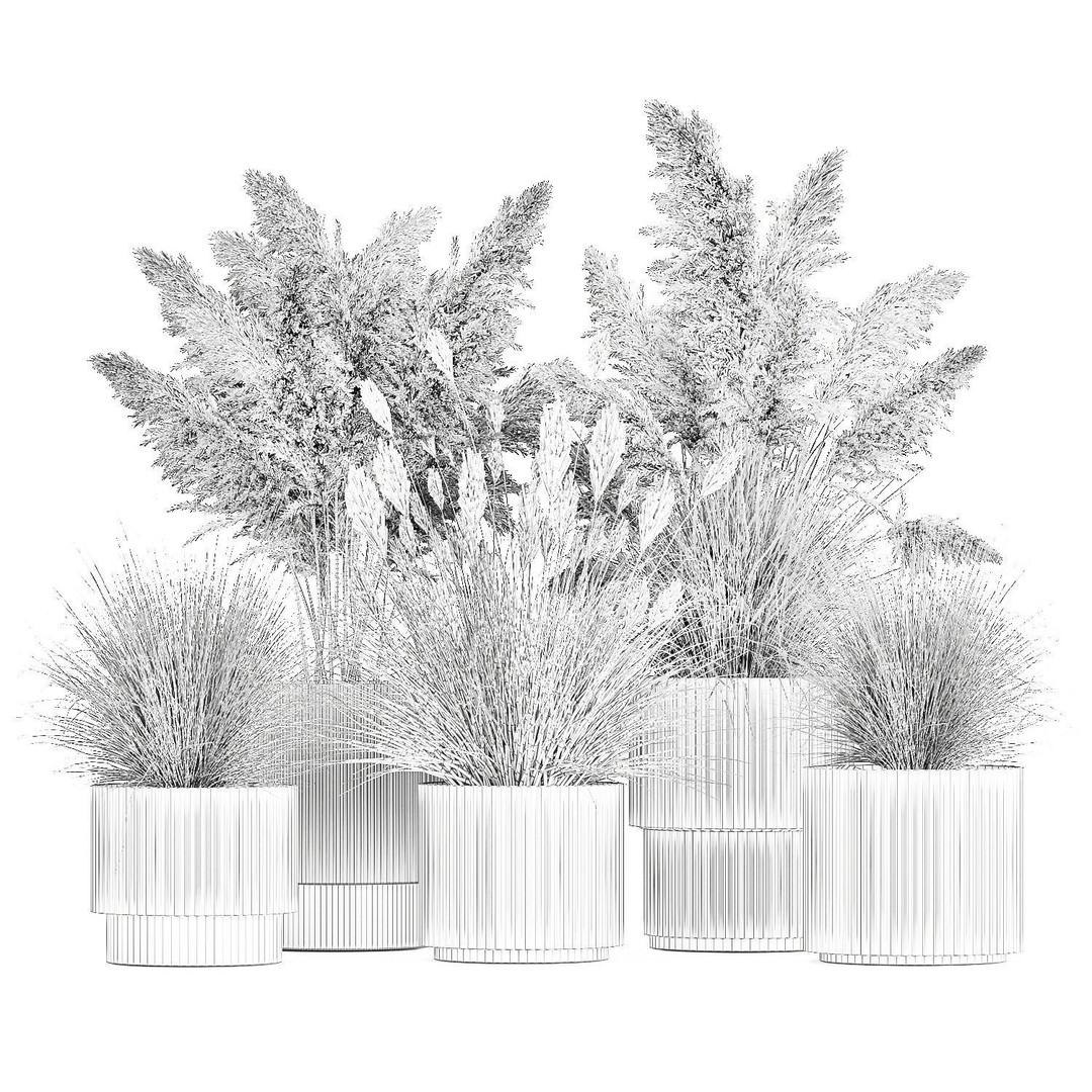 Pampas Grass Bushes in Pots 3D Model – Lush Landscaping Decor