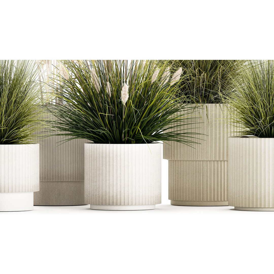 Pampas Grass Bushes in Pots 3D Model – Lush Landscaping Decor - View 6