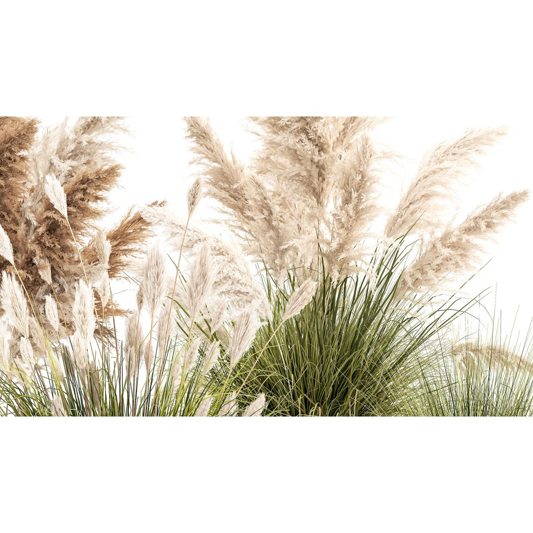 Pampas Grass Bushes in Pots 3D Model – Lush Landscaping Decor - View 7