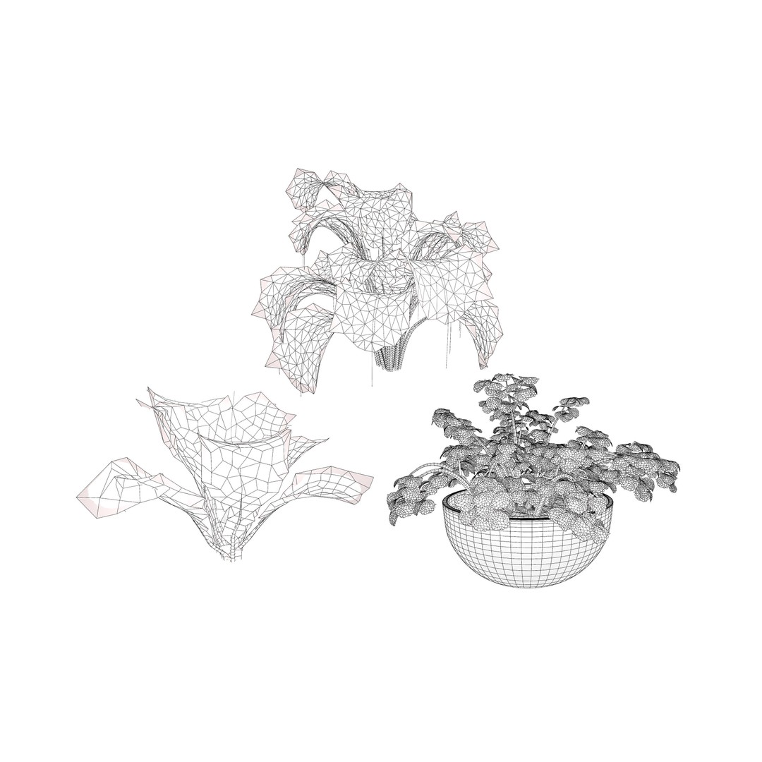 Leafy Green Plants Pack 3D Model – Low Poly Game Asset, FBX