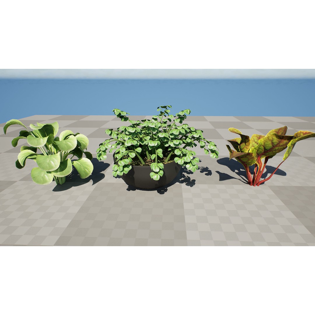 Leafy Green Plants Pack 3D Model – Low Poly Game Asset, FBX - View 10