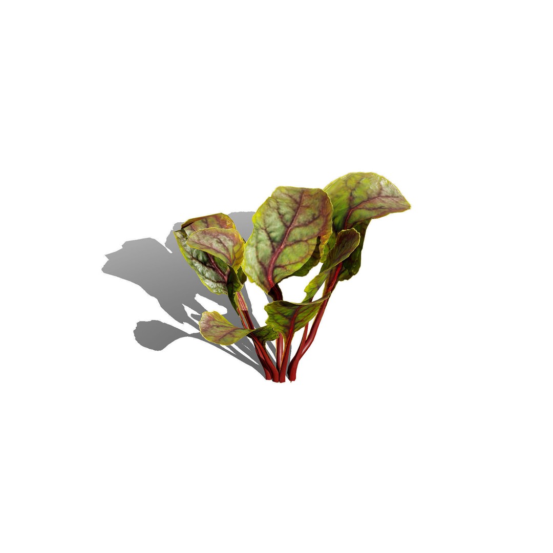 Leafy Green Plants Pack 3D Model – Low Poly Game Asset, FBX - View 3