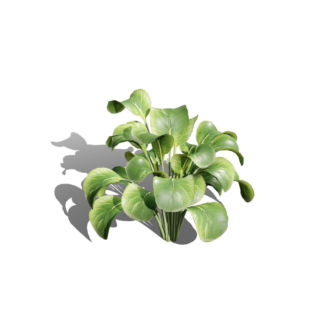 Leafy Green Plants Pack 3D Model – Low Poly Game Asset, FBX - View 4
