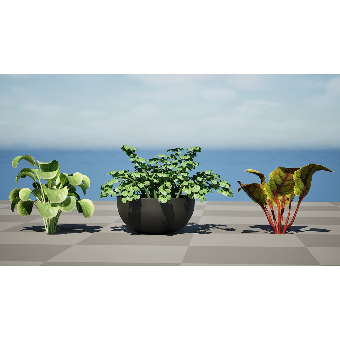 Leafy Green Plants Pack 3D Model – Low Poly Game Asset, FBX - View 8