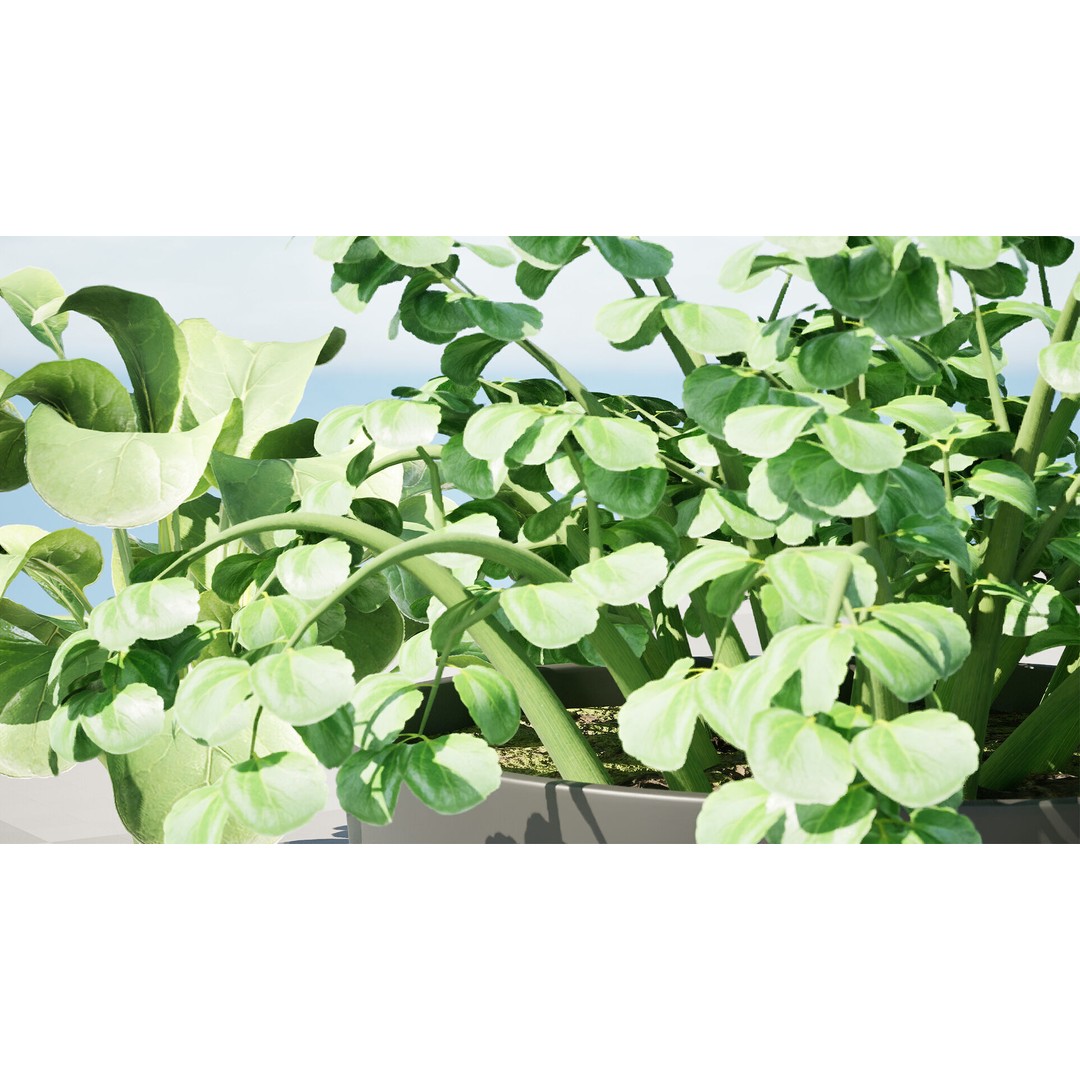 Leafy Green Plants Pack 3D Model – Low Poly Game Asset, FBX - View 9