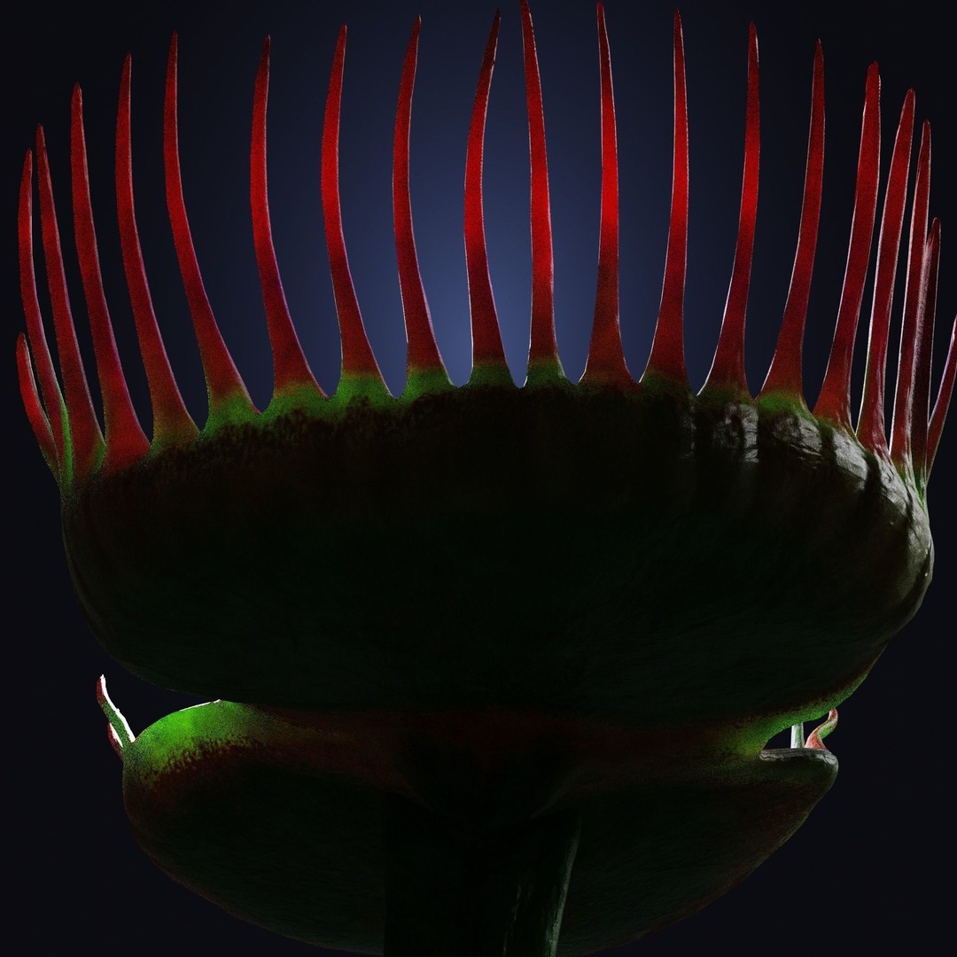Venus Fly Trap 3D Model – Rigged Low-Poly Game Asset, FBX, Blender