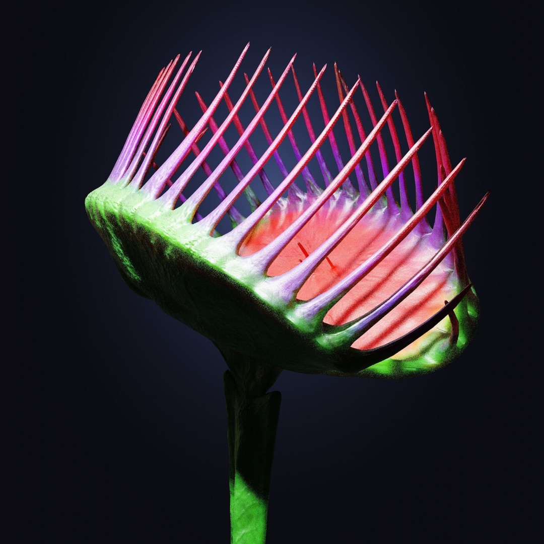 Venus Fly Trap 3D Model – Rigged Low-Poly Game Asset, FBX, Blender - View 11