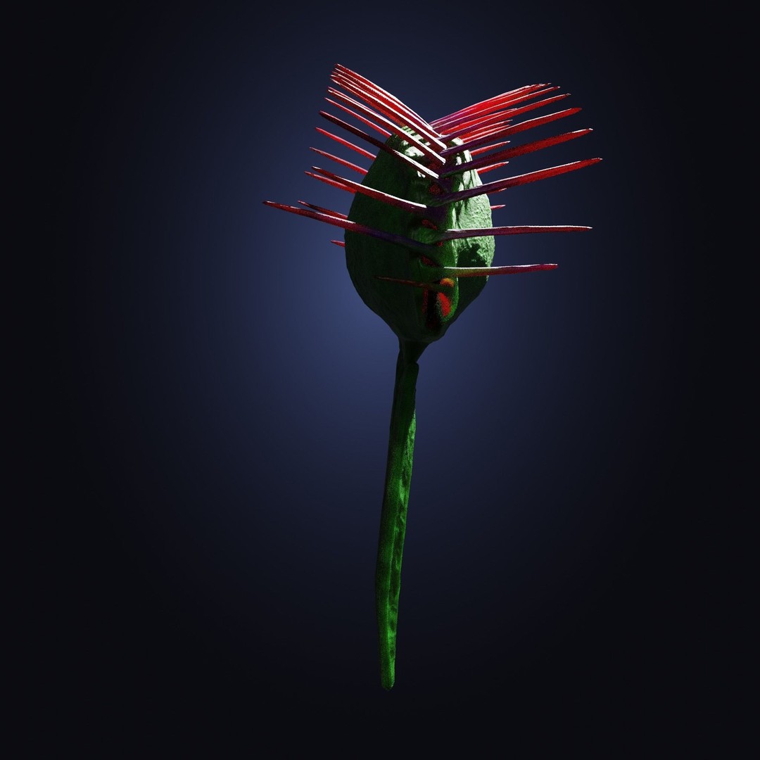 Venus Fly Trap 3D Model – Rigged Low-Poly Game Asset, FBX, Blender - View 15