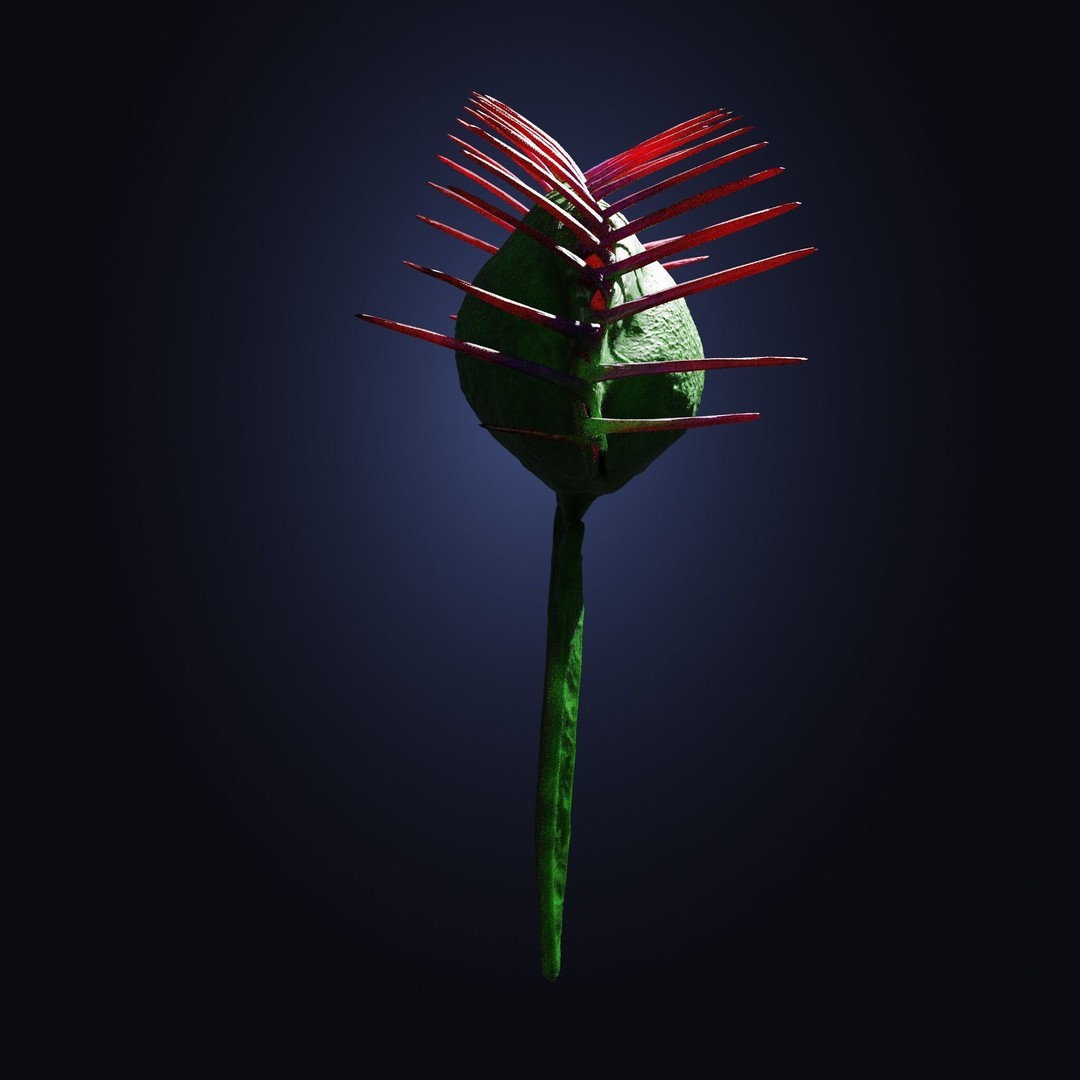 Venus Fly Trap 3D Model – Rigged Low-Poly Game Asset, FBX, Blender - View 16