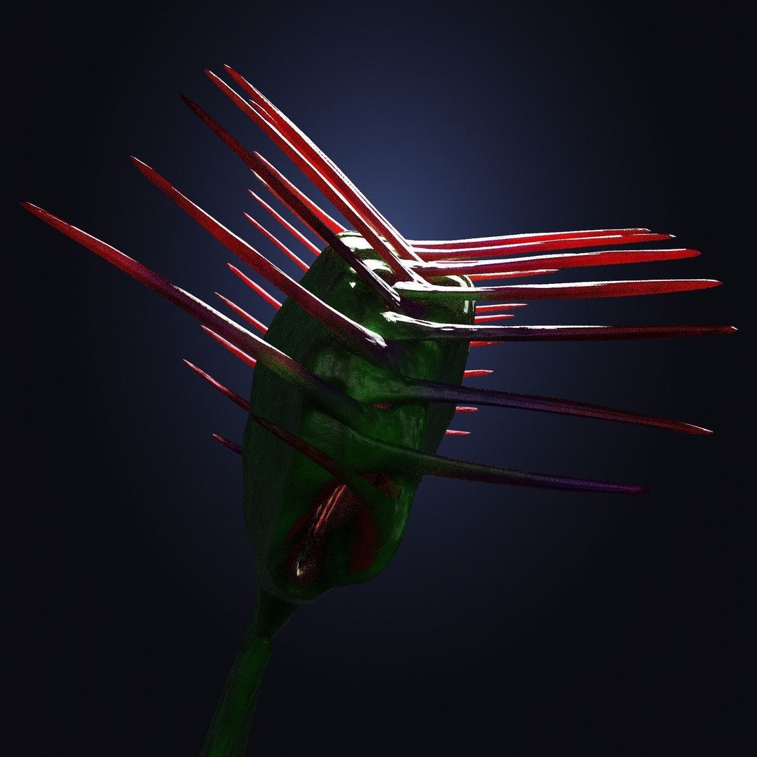 Venus Fly Trap 3D Model – Rigged Low-Poly Game Asset, FBX, Blender - View 17