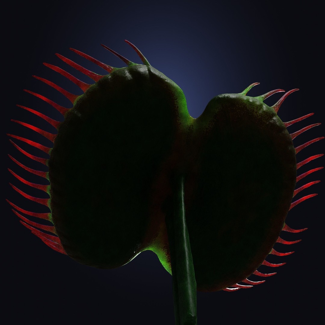 Venus Fly Trap 3D Model – Rigged Low-Poly Game Asset, FBX, Blender - View 18