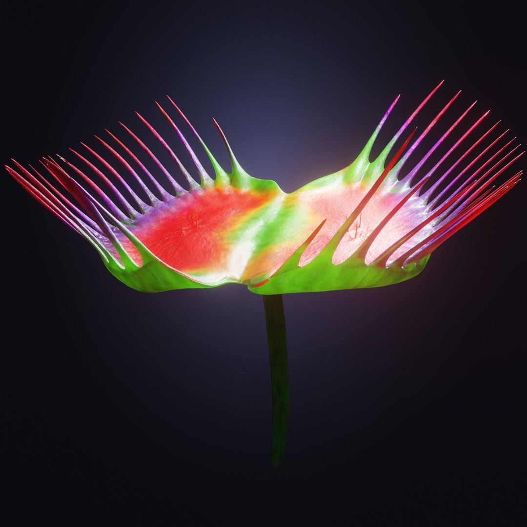 Venus Fly Trap 3D Model – Rigged Low-Poly Game Asset, FBX, Blender - View 23