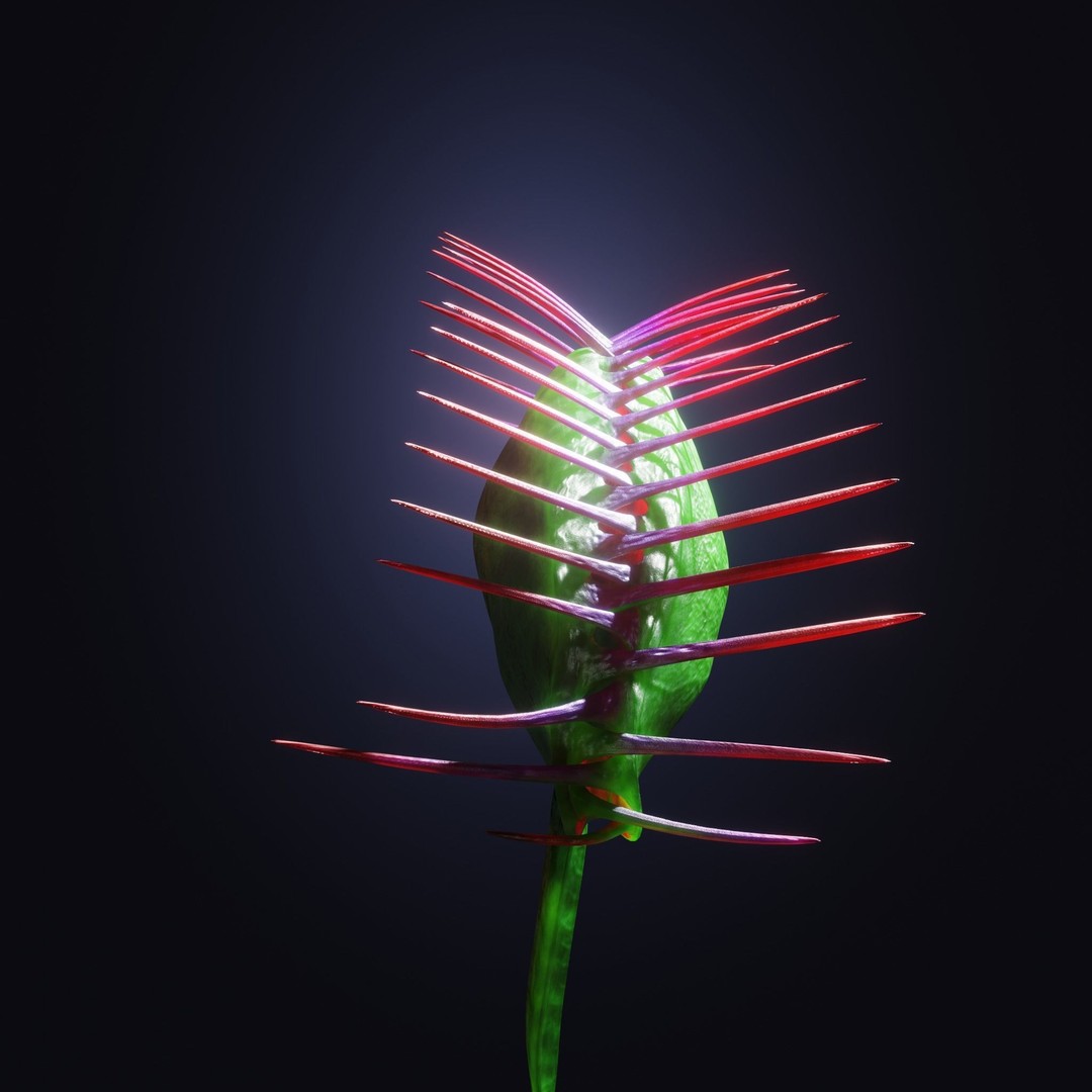 Venus Fly Trap 3D Model – Rigged Low-Poly Game Asset, FBX, Blender - View 28