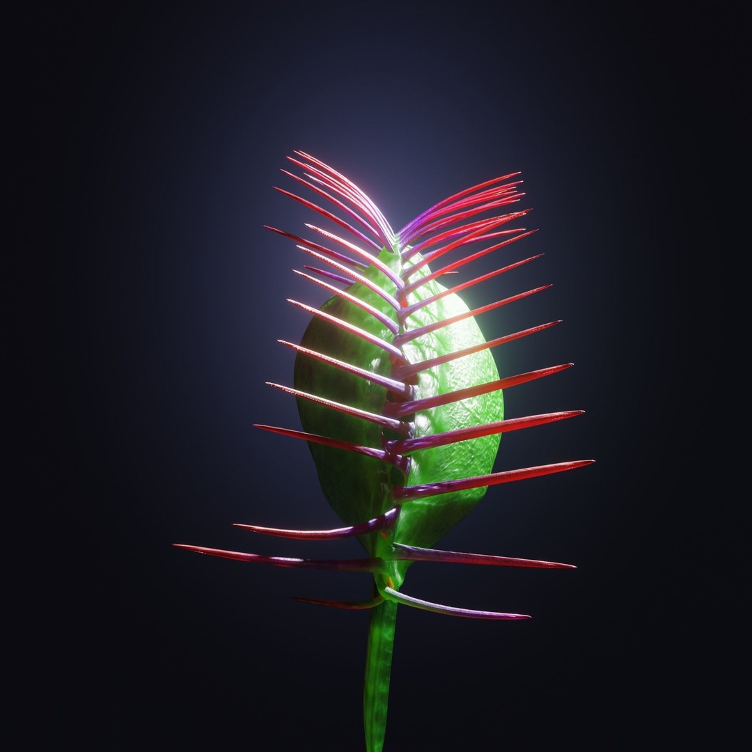 Venus Fly Trap 3D Model – Rigged Low-Poly Game Asset, FBX, Blender - View 29