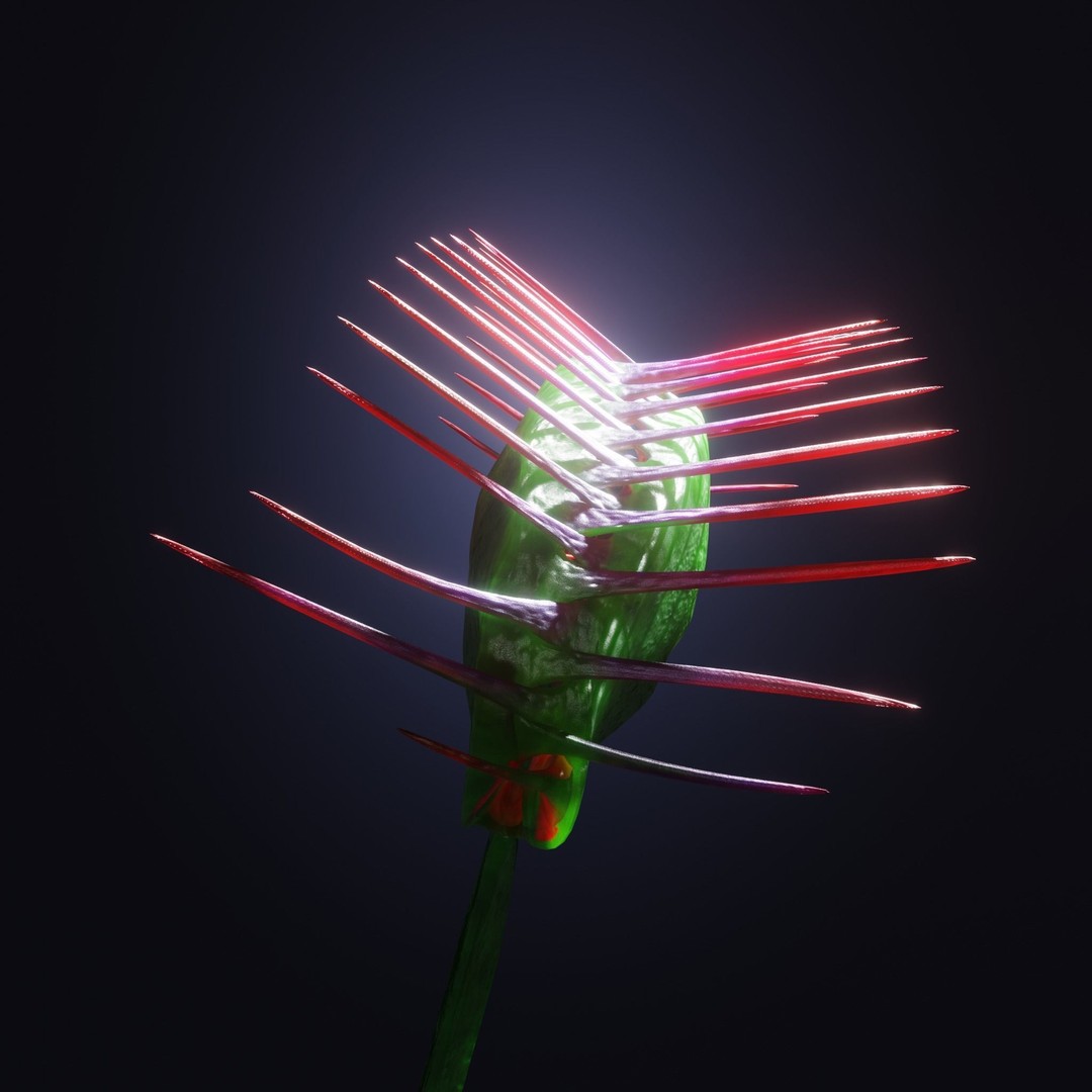 Venus Fly Trap 3D Model – Rigged Low-Poly Game Asset, FBX, Blender - View 30