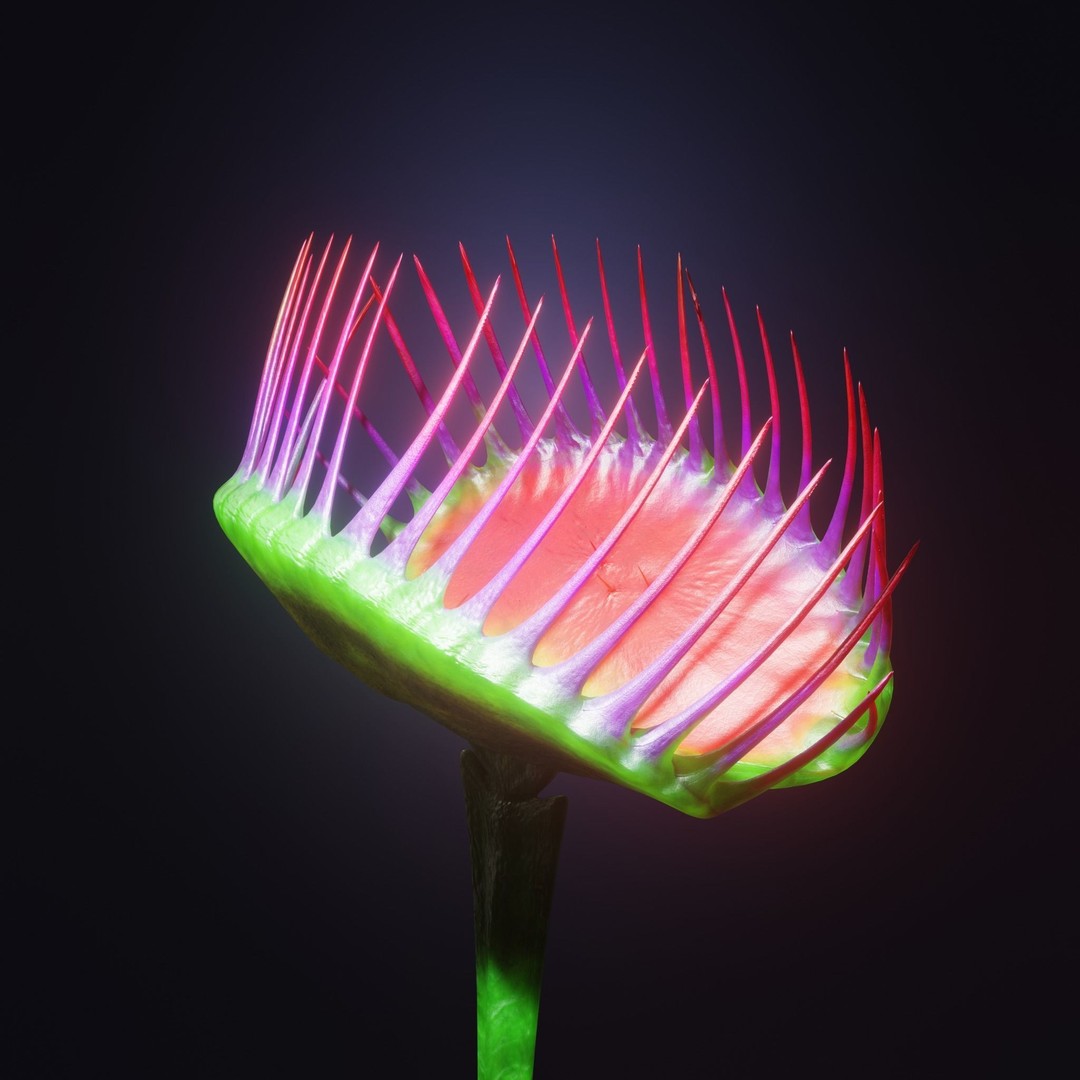 Venus Fly Trap 3D Model – Rigged Low-Poly Game Asset, FBX, Blender - View 34