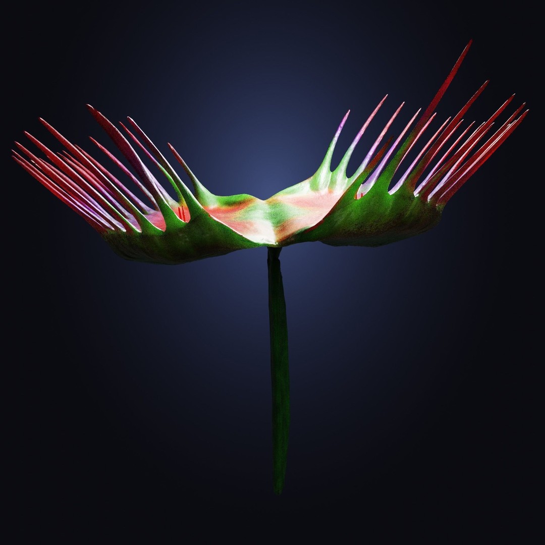 Venus Fly Trap 3D Model – Rigged Low-Poly Game Asset, FBX, Blender - View 9