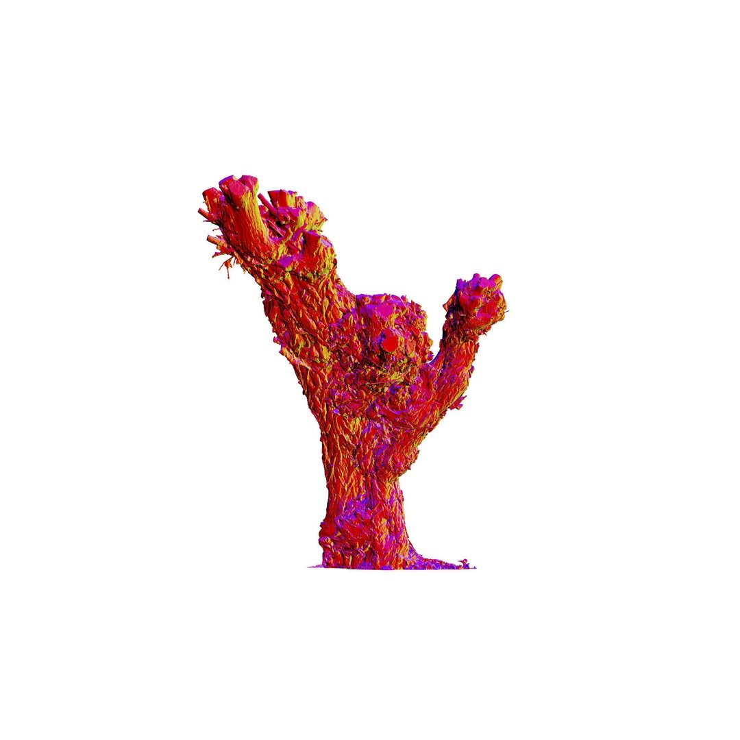 Old Willow 3D Model – Photogrammetry Tree Asset, FBX & Blender - View 3